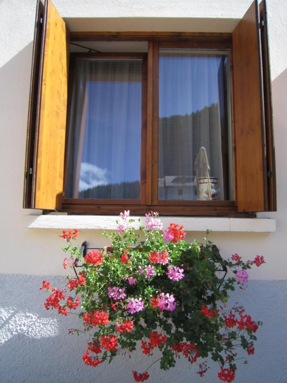 Casa Alpina Sacro Cuore Canale dʼAgordo Exterior foto